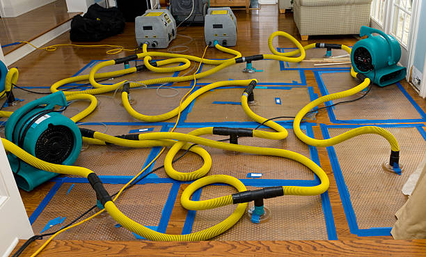 Professional Flood Damage Restoration technician working in Syosset, NY